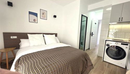 203 Studio with Kitchenette & Private Bath - Foto 4