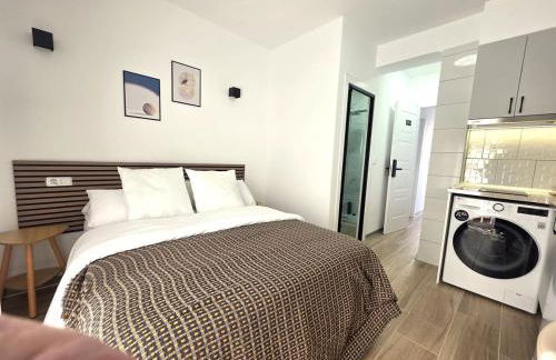 203 Studio with Kitchenette & Private Bath - Foto 4