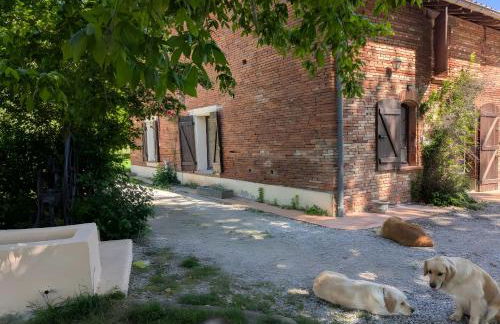 Ferme Pédagogique Bordeneuve - Foto 47