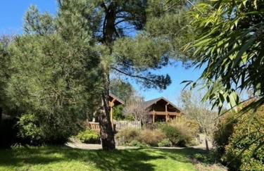 Countryside 3 Bedroom Log Cabin With Private Hot Tub - Ash - Foto 8