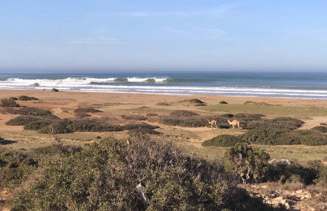 L'abri De La Plage - The Pool House - Foto 42