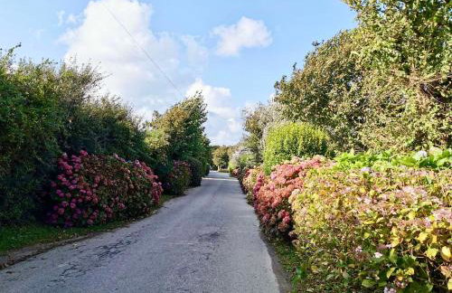 Shamrocks Cove Caravan - Award-Winning Coastal Retreat - Photo 31