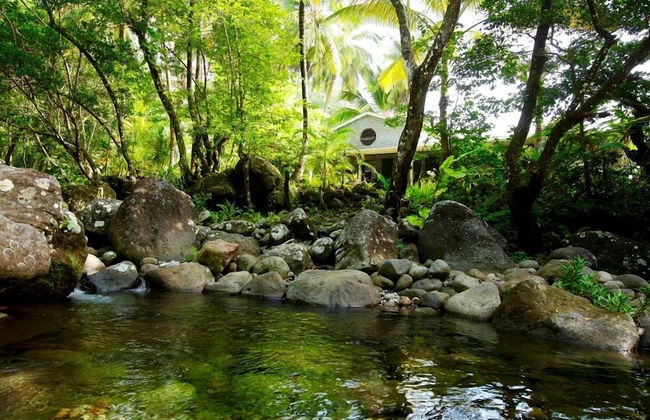 Citrus Creek Plantation - Photo 75