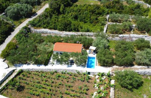 Vineyard House & Olive Grove House - Photo 62