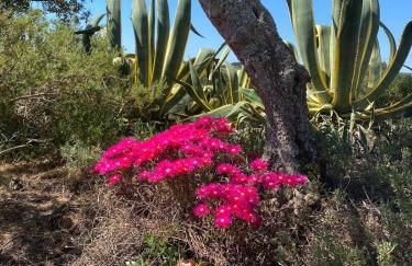 Quinta Vale da Paz - Foto 44