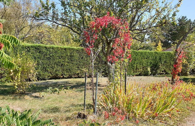 Des Histoires d'Anges - Le gîte - Photo 21