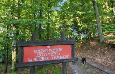 Jaśkowe Wzgórze domki na wynajem Szymbark, balia, Domek nr 2 i 3 - Foto 58