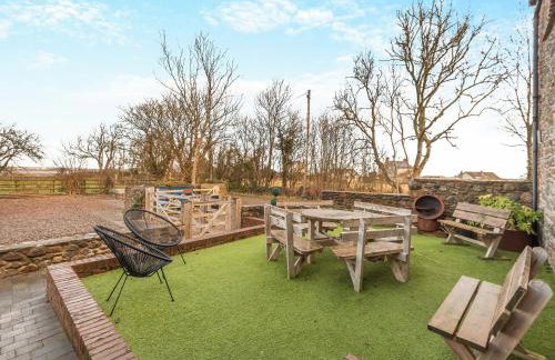 The Barn Owl - Uk36217 - Foto 18