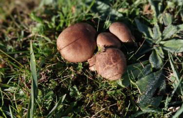 La fortaleza de Bernuy - Photo 51