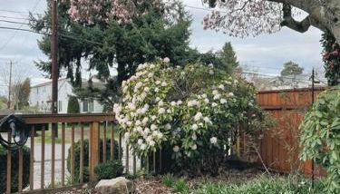 Lakeview Home by Lightrail Downtown & Airport - Foto 5