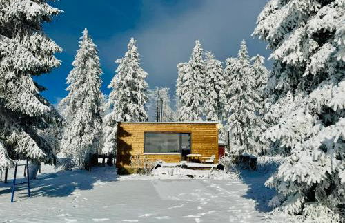 Tiny Chalet Stuga Am Rennsteig mit Kamin und Garten, Hunde Willkommen - Foto 1