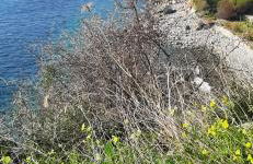 Case Vacanze Macchione - Foto 27