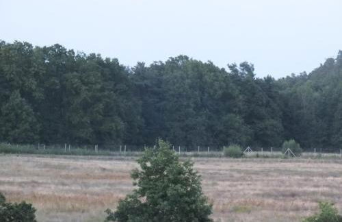 Ferienwohnung Waldblick - Foto 26