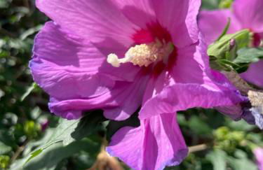 Ferienwohnung Birkenhof - Urlaub auf dem Bauernhof mit Blick ins Grüne - Foto 17