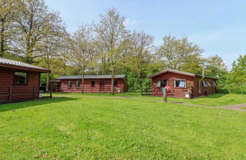 The Blacktail - Foto 21