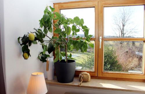 Ultra Alpes Luitpold - Foto 3