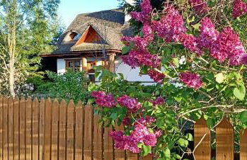 Białowieski Dworek do 10 Gości - Foto 1