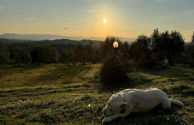 Holiday Home With Beautiful View on the Village - Photo 69