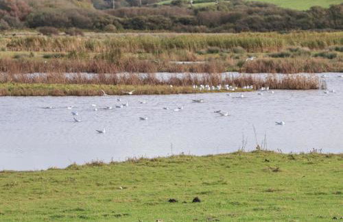 6 Ocean's Edge - Foto 20