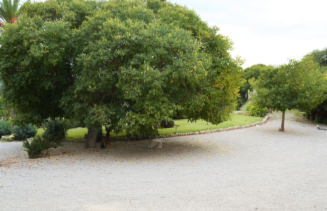 Son Sant Andreu - Foto 79