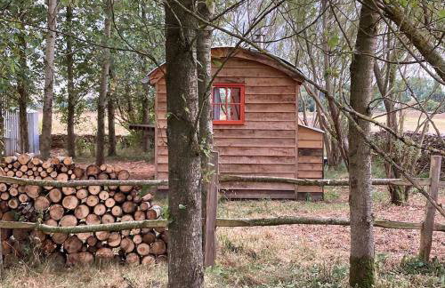 Secluded off grid Shepherd's Hut - Photo 16
