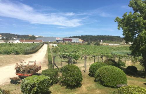 Quinta do Sanguinhal - Foto 51