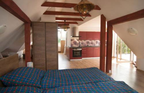 Hospoda-Ferienhaus am Olba-See - Foto 32