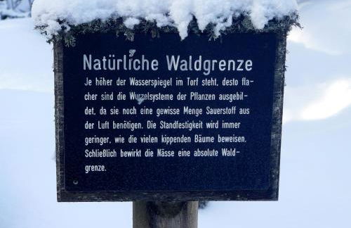 4-Sterne Ferienhaus Rösslewiese Hinterzarten - Foto 32