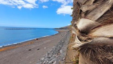 Canela Tenerife Apartment - Foto 3