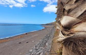 Canela Tenerife Apartment - Foto 3