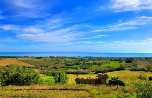 Live Your Dream - Foto 20