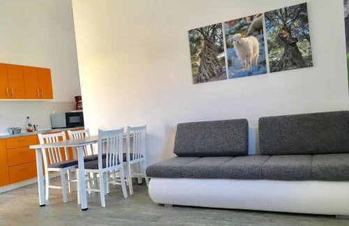 Apartments Suzana - Foto 34