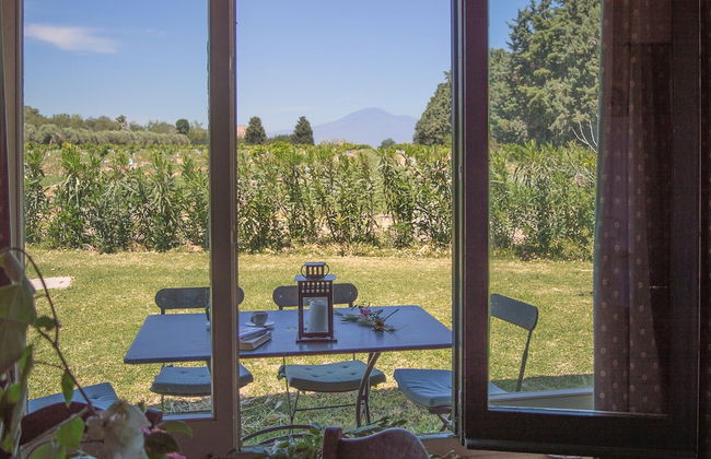 Tenuta San Calogero - Foto 44