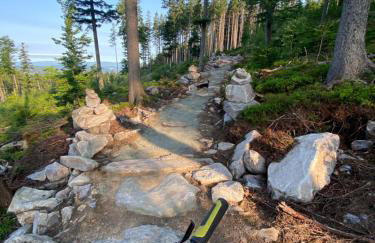 Domki Pod Lasem - Domek Brzozowy - Foto 49