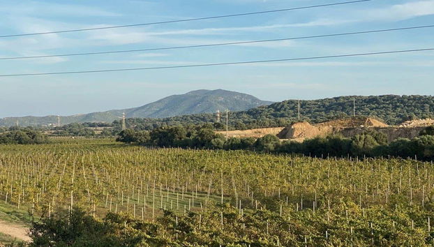 Tour del vino por Olbia - Foto 4
