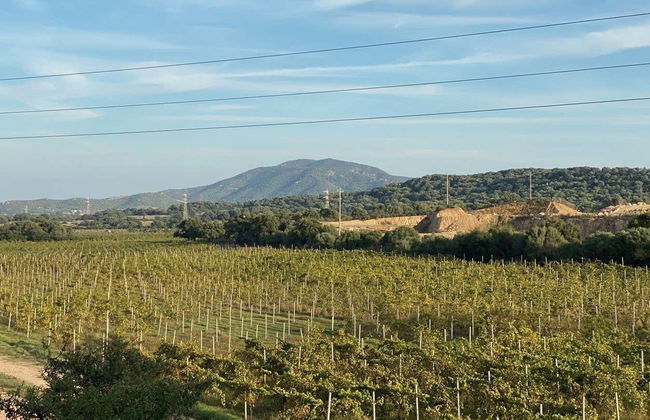 Olbia Wine Tour - Photo 4