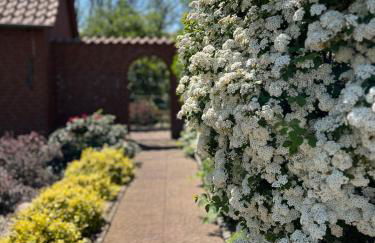Elbwiesenhaus an der Elbe - Foto 16