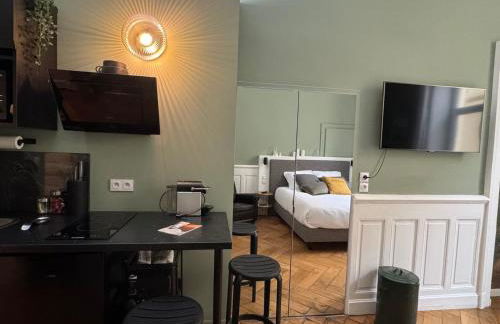 Studio de charme rénové en centre-ville, animaux admis - FR-1-555-123 - Foto 2