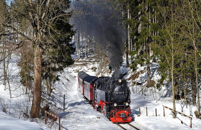 Appartementhaus Der Krauterhof in Drei Annen Hohne - Foto 31