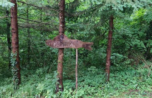 Mrežnica - Zelena oaza I - Foto 24