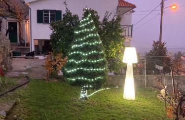 A Casa da Rapariga de Cabelo Azul - Foto 39