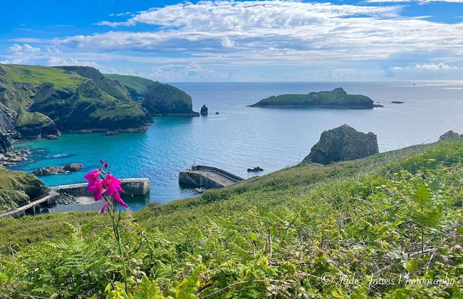 Lovely Holiday Home nr Kynance Cove - Foto 10