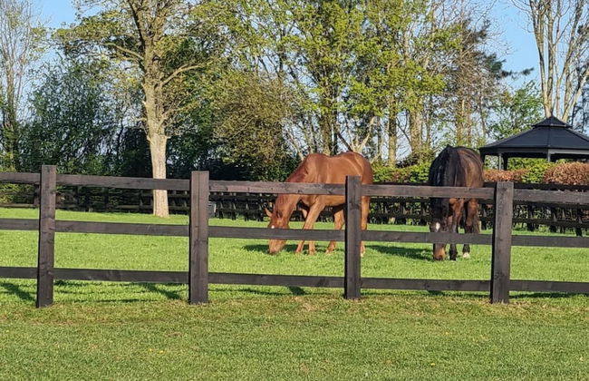 Paddock Cottage - Thorpe Arnold, Melton Mowbray - Foto 28