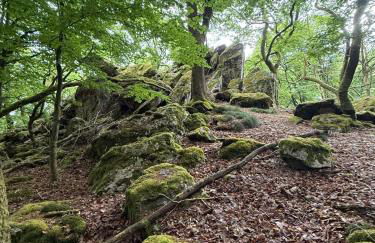 Ferienhaus Klara - Foto 13