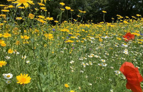 The Farmhouse - Foto 31