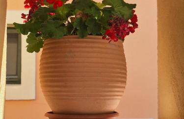 Lucy's House Aggelokastro - Foto 39