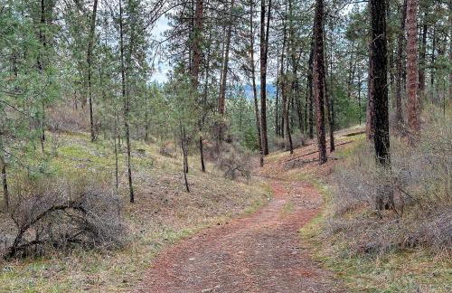 Private Lake Access and Dock Home Near Spokane - Foto 49