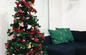 Amazing Apartment at Christmas Time - Photo 1