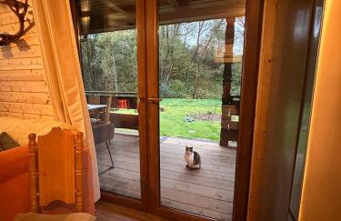 Bieszczady ClaraArt - Foto 30