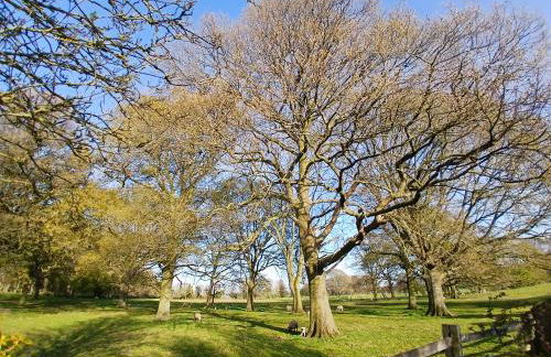 The Herons - Foto 23